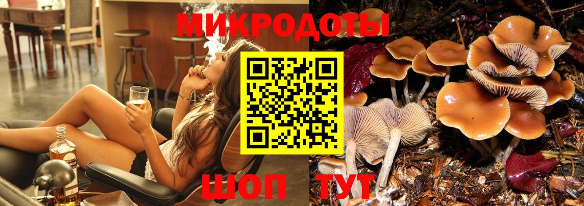 Псилоцибиновые грибы прущие грибы Орехово-Зуево