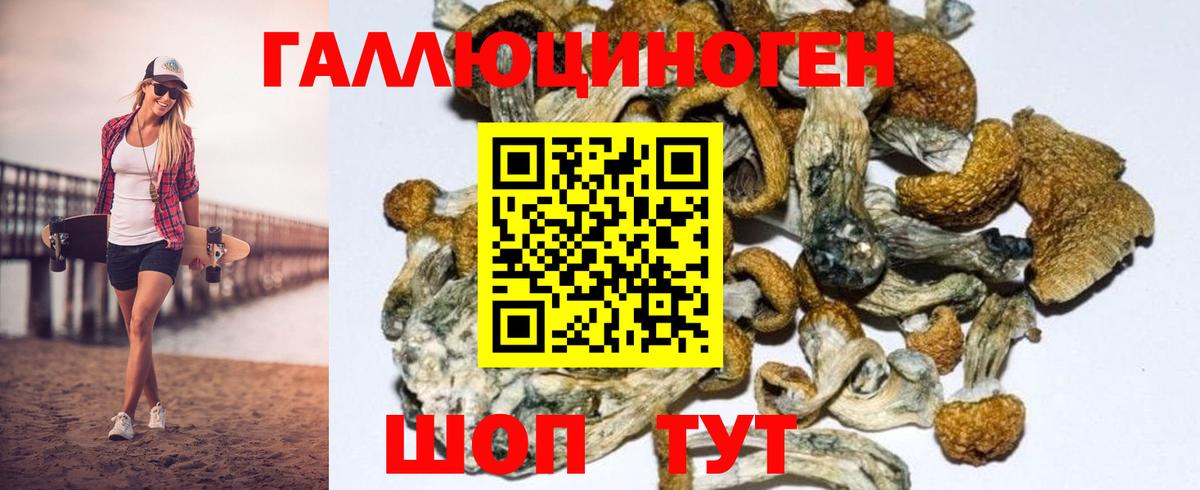 Орехово-Зуево  наркота  Вход с VPN  Галлюциногенные грибы MAGIC MUSHROOMS 